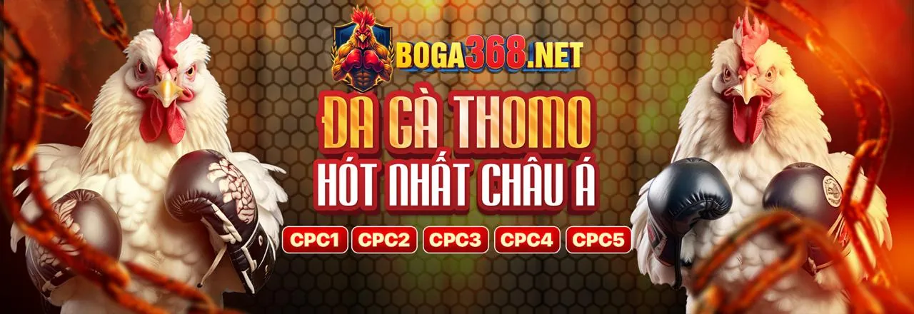Lợi ích khi chọn các chương trình khuyến mãi của luck8333 casino